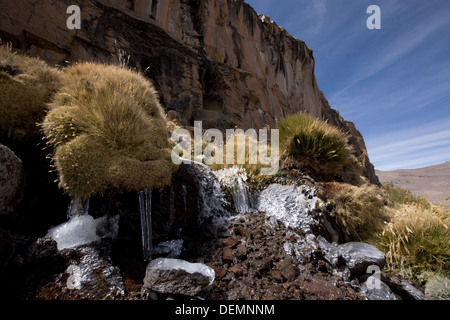 Mount Misti, wo Amazonas geboren wird. Stockfoto