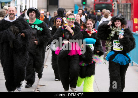 London, UK. 21. September 2013. Die großen Gorilla eine Charity run zugunsten der Gorilla Organization, London, England. Bildnachweis: Simon Balson/Alamy Live-Nachrichten Stockfoto