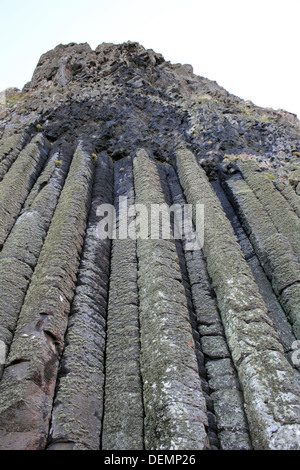 Die Orgelpfeifen in der Giant's Causeway in der Nähe von Bushmills, Antrim, Nordirland, Vereinigtes Königreich. Stockfoto