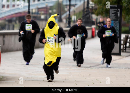 London, UK. 21. September 2013. Die großen Gorilla eine Charity run zugunsten der Gorilla Organization, London, England. Bildnachweis: Simon Balson/Alamy Live-Nachrichten Stockfoto