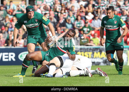 Leicester, UK. 21. September 2013. Vereniki Goneva von Tigern in Aktion während der Aviva Premiership Spiel zwischen Leicester Tigers und Newcastle Falcons von Welford Road. Bildnachweis: Aktion Plus Sport/Alamy Live-Nachrichten Stockfoto