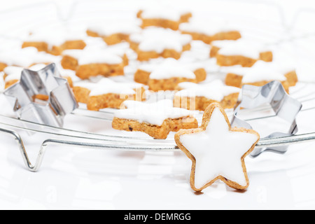 ständigen Zimt Weihnachtsstern vor einem kühlenden Raster mit vielen Zimtsterne Stockfoto