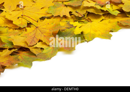 Hintergrund-Gruppe orange Herbstlaub Stockfoto