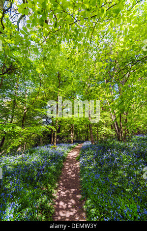 Mariners Hügel, Westerham, Kent, England, UK, Europa Stockfoto