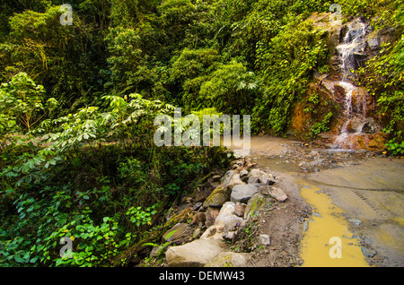 Manu-Straße durch Manu Nationalpark Madre de Dios - von Cuzco, Madre de Dios Fluss und Manu Stockfoto