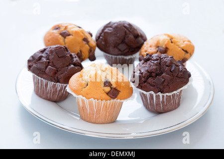 chocolate Chip muffins Stockfoto