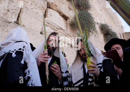 Orthodoxe Juden halten zeremoniellen Palmwedel und Weiden auf der Sukkot Laubhüttenfest an der westlichen Wand oder Kotel in der Altstadt Ost Jerusalem Israel Stockfoto