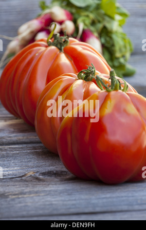 Drei Coeur de Boeuf Tomaten und Radieschen frisch vom Wochenmarkt auf einem alten Holztisch Stockfoto