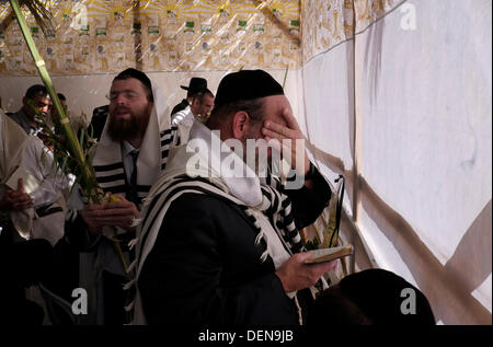 Orthodoxe jüdische Gläubige halten zeremonielle palm Wedel und Weiden am Sukkot fest in einem traditionellen Laubhütte Stand an der Klagemauer in Ost-Jerusalem am 22. September 2013. Zehntausende Gläubige drängten die Kotel (Klagemauer) Plaza für das Morgengebet, der fünfte Tag des Festivals von Sukkot. Der Dienst sahen Tausende von Kohanim - Mitglieder der priesterlichen Familien Israels - die gesammelte Menge in einer Show der Einheit und des Feierns zu segnen.  Fotograf: Eddie Gerald/Alamy Live-Nachrichten Stockfoto