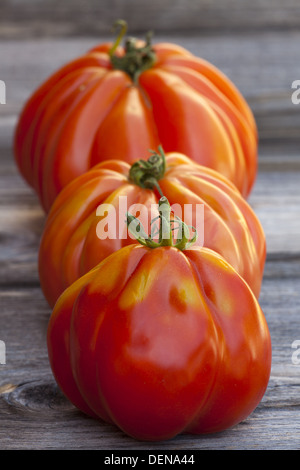 Drei große Fleischtomaten hintereinander frisch vom Wochenmarkt auf einem alten Holztisch Stockfoto