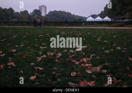 London, UK. 21. September 2013. Blätter auf dem Boden im Hyde Park, London, wie Herbst kommt. Bildnachweis: Andrea Buffalo/Alamy Live-Nachrichten Stockfoto