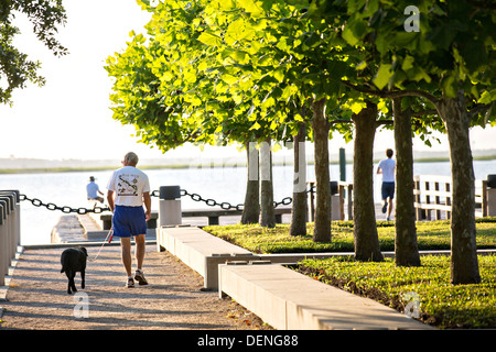 Wasser Park in der Altstadt von Charleston, SC. Stockfoto