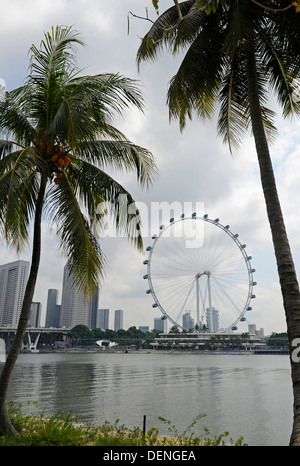 Singapore Flyer, das größte Riesenrad der Welt, in den Gärten an der Bucht. Stockfoto