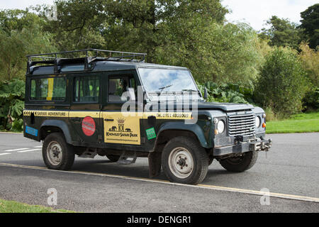 Knowsley Safari Abenteuer Welt Rhino Tag. September 2013. VIP-Landrover bei der Veranstaltung „Save the Rhino“ im Knowsley Safari Park, Liverpool. Welt-Rhino-Tag als Zoos, Organisationen und Naturschutzgebiete auf der ganzen Welt dafür warben, das Bewusstsein für den Schutz von Nashorn vor tödlicher Wilderei zu schärfen.eine Krise, die Tiere in Afrika und Asien weiterhin bedroht. Rhino-Hörner werden auf dem internationalen Schwarzmarkt für ihre angeblichen 'edizinischen' Werte geschätzt, eine Forderung, die ihr Überleben bedroht. Stockfoto