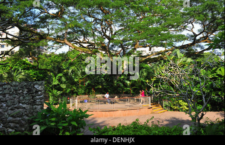 Singapur Sehenswürdigkeiten - Singapore Botanic Gardens Stockfoto