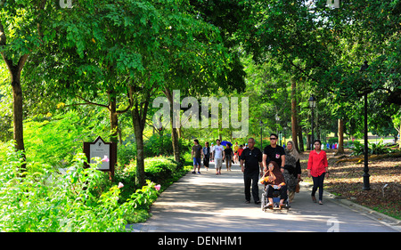 Singapur Sehenswürdigkeiten - Singapore Botanic Gardens Stockfoto