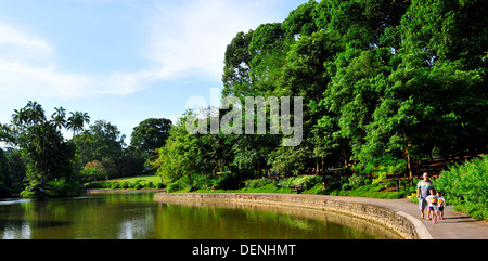 Singapur Sehenswürdigkeiten - Singapore Botanic Gardens Stockfoto