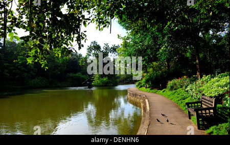 Singapur Sehenswürdigkeiten - Singapore Botanic Gardens Stockfoto