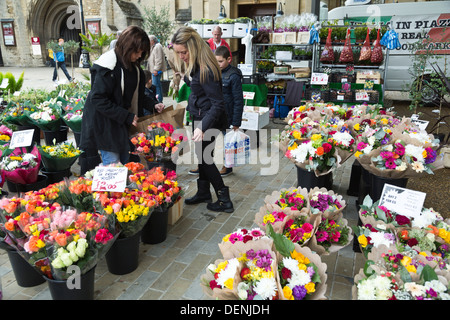 Frauen die Wahl Pflanzen Blumen vom Marktstand auf dem Cathedral Square, Peterborough, England Stockfoto