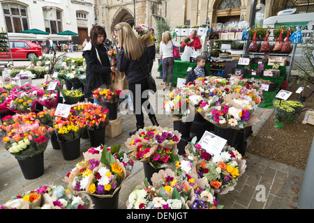 Frauen die Wahl Pflanzen Blumen vom Marktstand auf dem Cathedral Square, Peterborough, England Stockfoto