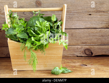 verschiedene Kräuter (Basilikum, Thymian, Petersilie, Minze und Dill) auf hölzernen Hintergrund Stockfoto