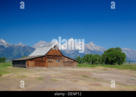 Die legendäre Moulton Scheune auf Mormone Zeile in Grand Teton Nationalpark, Wyoming Stockfoto