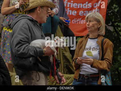 Balcombe, West Sussex, UK. 22. September 2013. Eckzahn Demonstrant bei 'Gürtel aus Balcombe 3' Veranstaltung. Die Anti-Fracking, die Umweltschützer protestieren gegen Probebohrungen durch Cuadrilla auf dem Gelände in West Sussex, die zu der umstrittenen Fracking-Prozess könnte. Bildnachweis: David Burr/Alamy Live-Nachrichten Stockfoto