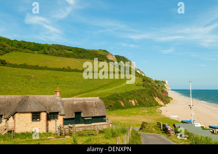 Strand bei Branscombe, Devon, England Stockfoto