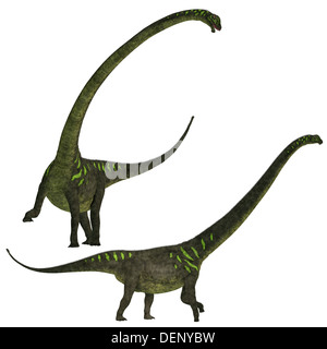 Dinosauriers war ein Pflanzenfresser Sauropod Dinosaurier aus dem späten Jura Periode Chinas. Stockfoto