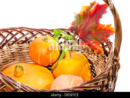 Herbstlaub mit Kürbis in den Korb auf weißem Hintergrund, Herbst-Ernte Stockfoto