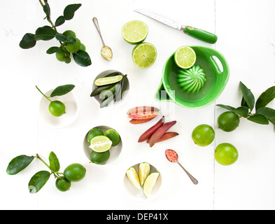 Eine Vielzahl von verschiedenen Limetten in verschiedenen Staaten der Vorbereitung; einschließlich der Finger, Tahitian und Kaffir Limonen. Stockfoto