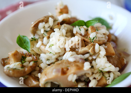 Pilz-Risotto Nahaufnahme in weiße Schüssel, Essen Stockfoto