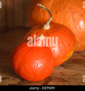 Kürbisse auf hölzernen Grunge Hintergrund, Hintergrund-Tabelle. Herbst, Halloween, Kürbis Stockfoto