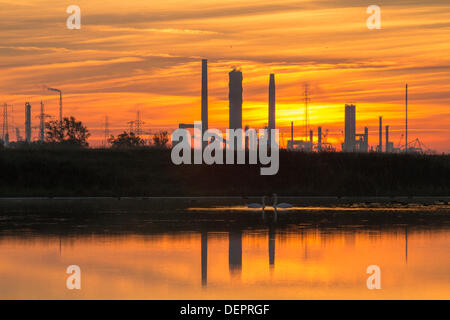 Sunrise aus Saltholme RSPB Reserve in der Nähe von Middlesbrough mit Teesside industrielle Skyline als Hintergrund. England-UK Stockfoto