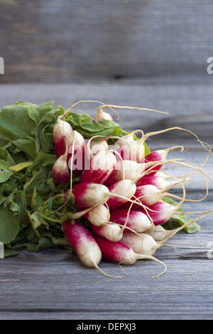 Frischen Haufen von Radieschen aus der Wochenmarkt auf einem alten Holztisch Stockfoto