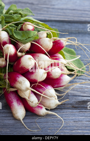 Frischen Haufen von Radieschen aus der Wochenmarkt auf einem alten Holztisch Stockfoto