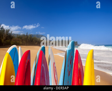 Surfbretter am Lumahai Beach in Kauai, Hawaii Stockfoto