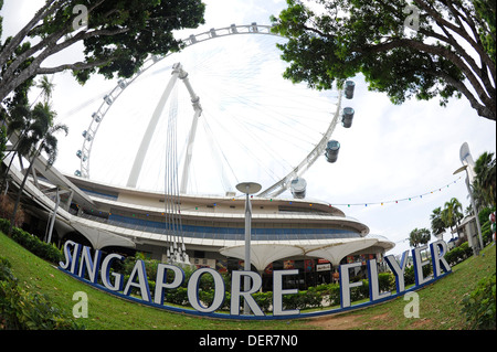 Singapore Flyer, das größte Riesenrad der Welt, in den Gärten an der Bucht. Stockfoto