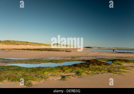 Ein am frühen Morgen-Blick auf den Strand Embleton Bay, Northumberland, UK Stockfoto