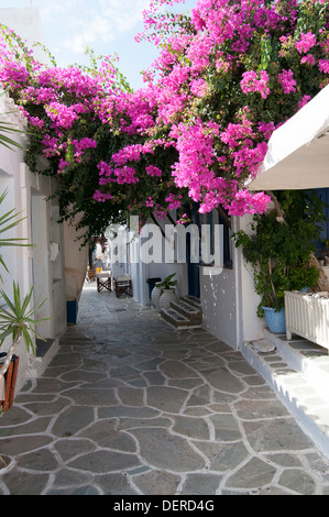 Kythnos, Griechenland - Kykladen, engen Gassen in der Hauptstadt Chora mit traditionellen weißen Häusern Stockfoto