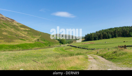 Agrarlandschaft im Drumelzier, Scottish Borders, obere Tweed Valley Stockfoto