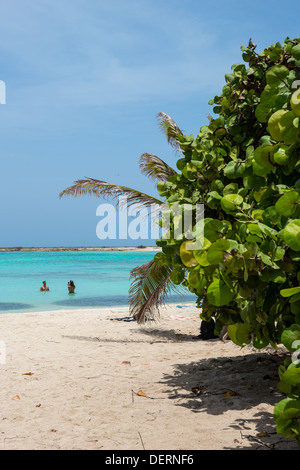 Baby Beach Aruba Stockfoto