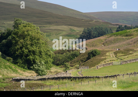 Agrarlandschaft im Drumelzier, Scottish Borders, obere Tweed Valley Stockfoto