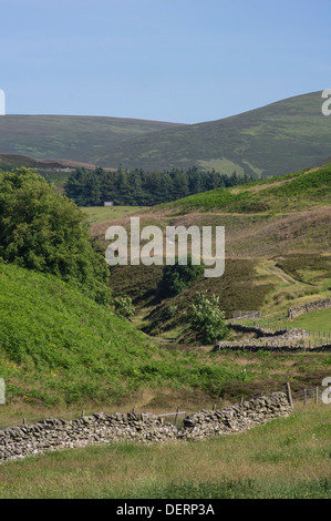 Agrarlandschaft im Drumelzier, Scottish Borders, obere Tweed Valley Stockfoto