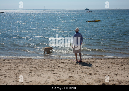 Ein älterer Mann starrt in Provincetown Schach, während sein Hund im Wasser am Strand entlang spielt. Stockfoto