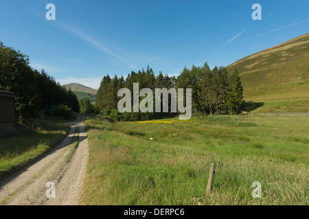 Agrarlandschaft im Drumelzier, Scottish Borders, obere Tweed Valley Stockfoto