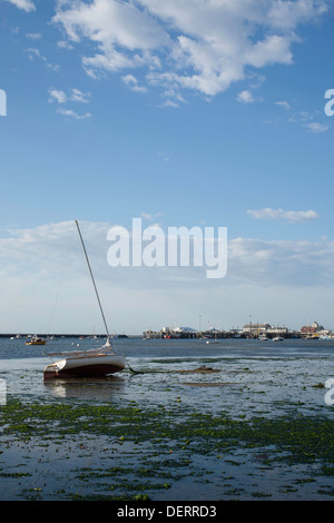 Ebbe in Provincetown, Massachusetts Hafen im Spätsommer.  MacMillan Pier können im Hintergrund zu sehen. Stockfoto