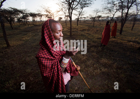 Maasai Mann senden einen Text Nachricht, Mara-Region, Kenia Stockfoto