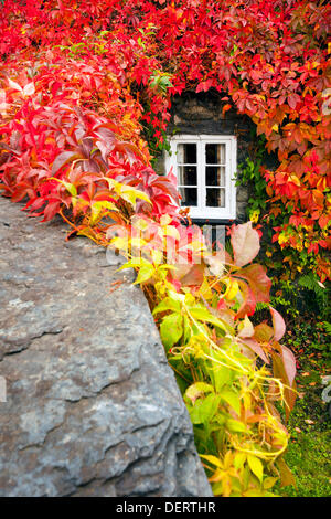 TU Hwnt I'r Bont Teestube während Romanum, North Wales, UK in volle Herbstfärbung Stockfoto