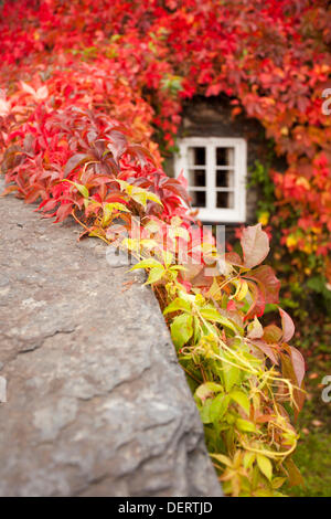 TU Hwnt I'r Bont Teestube während Romanum, North Wales, UK in volle Herbstfärbung Stockfoto